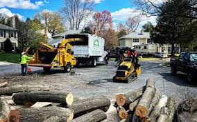 Best Firewood Processing and Delivery  in Sterling, IL